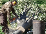 Début des travaux du Jardin le 15 octobre 2012