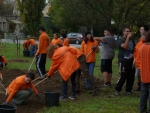 Travaux Jardin