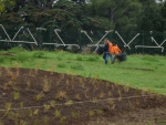 Travaux Jardin