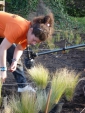 Les travaux du jardin 