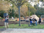 Les travaux du jardin 