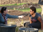 Les travaux du jardin 