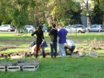 Les travaux du jardin 