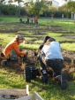 Les travaux du jardin 