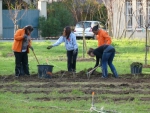 Travaux Jardin