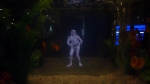 Hologramme et crustacés...